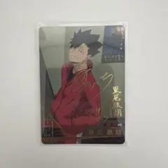 レ*ン様 ケ*ン様 ハイキュー!! バボカ 黒尾鉄朗 レ*ン様 ケ*ン様 ハイキュー!! バボカ 黒尾鉄朗 - メルカリ