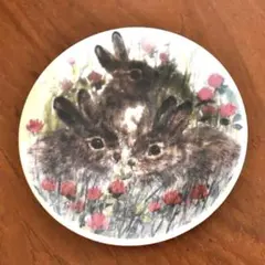 J3: ARABIA 子ウサギ ファウナシリーズ