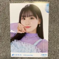 Item thumbnail for item aa48f67e-db31-4d9a-b9d9-157d09fcdb6f