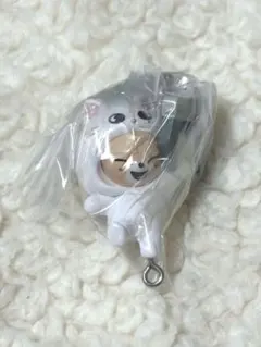 スキズ SKZOO つまんでつなげてますこっとvol.2 フォクシニー