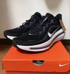 【未使用】30cm NIKE Winflo 12 ランニングシューズウィンフロー