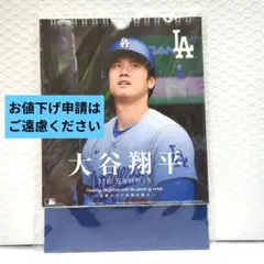 【特別価格】大谷選手カレンダー 日めくり 万年日カレンダー 未使用品