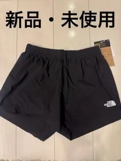 ザノースフェイス フライウェイトレーシングショーツ メンズ Lサイズ