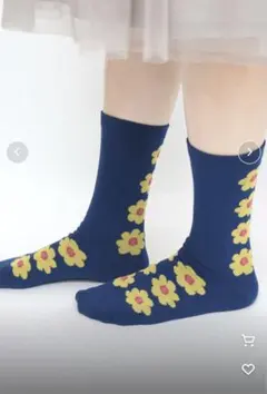 stample 靴下　ソックス