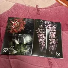 POLA B.A サンプルセットのサムネイル