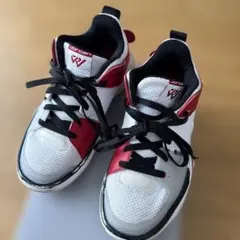 JORDAN ワンテイク5 バスケ 23.5