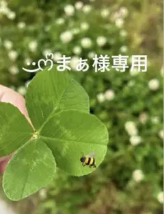 ·͜·ᰔᩚまぁ様オーダー