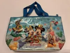 東京ディズニーランド　30周年　ランチバッグ