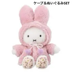 Item thumbnail for item 76e0021a-9458-49e8-9385-0d0c2a29a54f