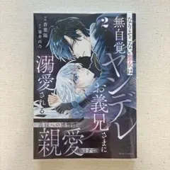 新刊 なりそこない聖女は無自覚ヤンデレお義兄さまに溺愛される 2
