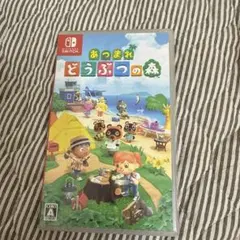 あつまれ どうぶつの森 Switch ソフト