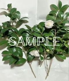 chomo2様 リクエスト 7点 まとめ商品