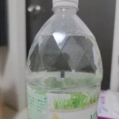 水