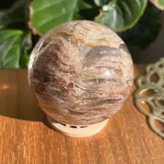 2025年最新】ガーデンスフィアの人気アイテム - メルカリ