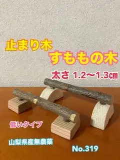 ⭐24 黄昏様追加分 輪投げセット オカメちゃんサイズ！ バードトイ