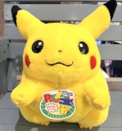 ポケットモンスター ポケモン30周年記念 おかえり!ピカチュウ1/1