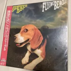 菊池ひみこ FLYING BEAGLE 完全生産限定盤 LPレコード FLYING BEAGLE 菊池ひみこ LP レコード ジャズ シティポップ 菊池