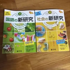 Item thumbnail for item a58d3145-9e83-4be8-a61b-a49c7c3d3962