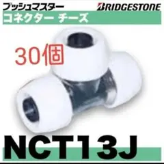 BS プッシュマスター チーズ NCT13J 30個 - メルカリ