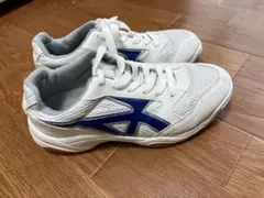 Item thumbnail for item 527351fb-86ab-47f1-b01a-dc8e540ed18c