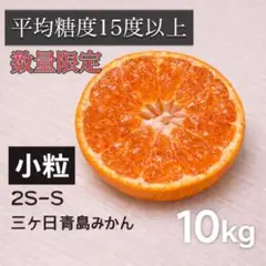 【甘さ保証】三ヶ日青島みかん｜平均糖度15度以上｜小粒2S-S｜産地直送10kg