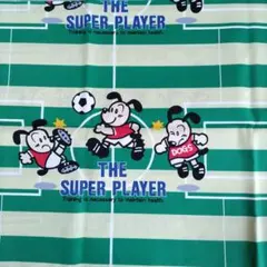 Item thumbnail for item 62cb0408-a709-497d-8d2f-379899e9e5d7