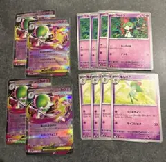 メガドリームex メガサーナイトex 進化ライン デッキパーツ ポケモンカード