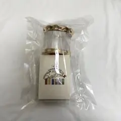 美少年　arena tour 2024 Gates ペンライト