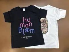 【貴重】RADWIMPS 生春巻きツアーTシャツ 未開封 Mサイズ RADWIMPS Tシャツ 生春巻き ツアーTシャツ Lサイズ ラッドウィンプス