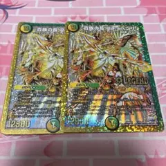 百族の長 プチョヘンザ 金 シークレット 2枚 - メルカリ