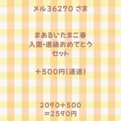 メル36270さま専用