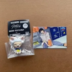 Stray Kids スキズ サウナ フィギュア フォクシニー アイエン 公式