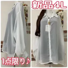 Item thumbnail for item 3442214d-35e6-4432-8c04-e891072a8517