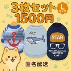 【匿名配送】犬の夏冬服ミックス3点セット★在庫処分セール！新品未使用