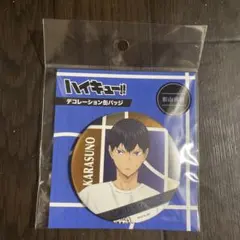 ハイキュー!! 影山飛雄 合同会　缶バッジ