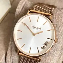 Item thumbnail for item f4cf2c45-d43c-4d0a-976b-2c48267b3682