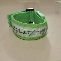 RIP SLYME リップスライム DFMF2025 ブレスライト グリーン