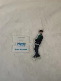 渡辺翔太 アクリルスタンド Mania