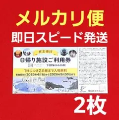 藤田観光 株主優待券2枚 箱根小湧園ユネッサン 下田海中水族館　E②のサムネイル