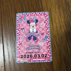 リゾラ　フリー切符　ミニー