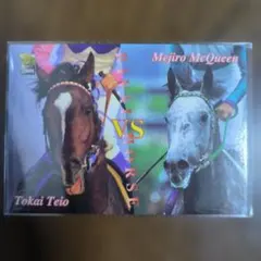 トウカイテイオー&メジロマックイーン カード