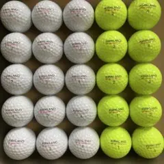 素人が集めたゴルフロストボール25球Kirkland