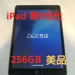 iPad 第9世代 256GB スペースグレー 美品