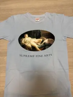 Supreme 19SS Leda And The Swan Tee - メルカリ