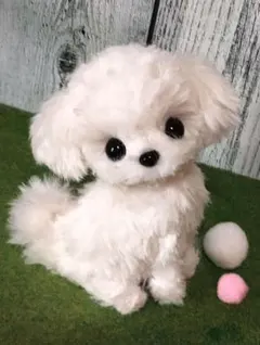 マルチーズお座り編みぐるみ❤