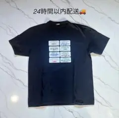 【24時間以内発送】 STUSSY ヴィンテージ加工 ダメージTシャツ