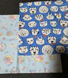 Item thumbnail for item 2fe57cc1-18c7-44a9-886a-b0bfbb9ab9cf