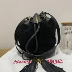 極美品》SEE BY CHLOE（シーバイクロエ）レザー ハンドバッグ 黒 
