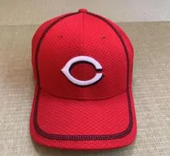 Item thumbnail for item 4e66f15e-3823-433b-9f52-9fb13b0b3c9b