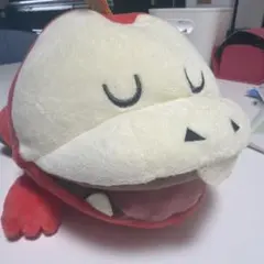 ピカピカボックス2023 ホゲータ 初夢ぬいぐるみ ポケモン